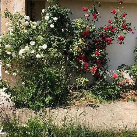 Le Jardin Suspendu Rillieux-la-Pape Exterior foto